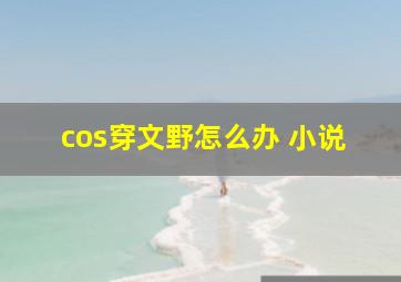 cos穿文野怎么办 小说